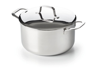 Maestro kookpot
